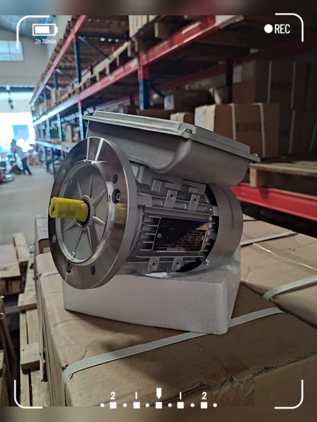 Toko Electrik Motor 1Phase 13 Electrik Motor 1Phase Flange Mounted Merk MOTOLOGY